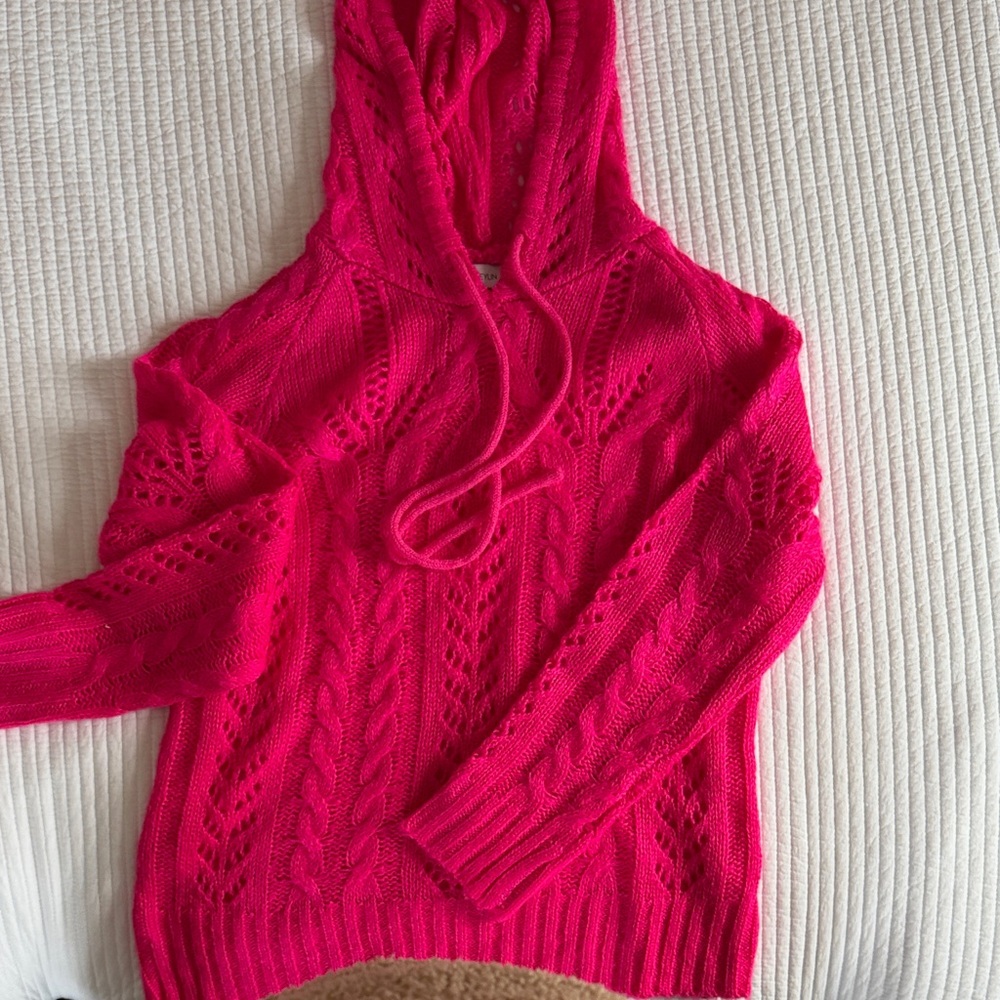 Greylin Fuchsia Hooded Sweater